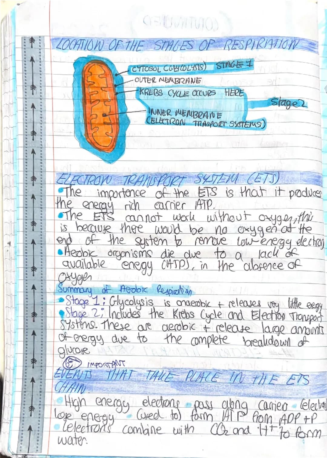 CHAPTER 12
RESPIRATION OCT 19.2022

INTRODUCTION
EXTERNAL RESPIRATION is the process by
which organisms exchange gases between their
environ