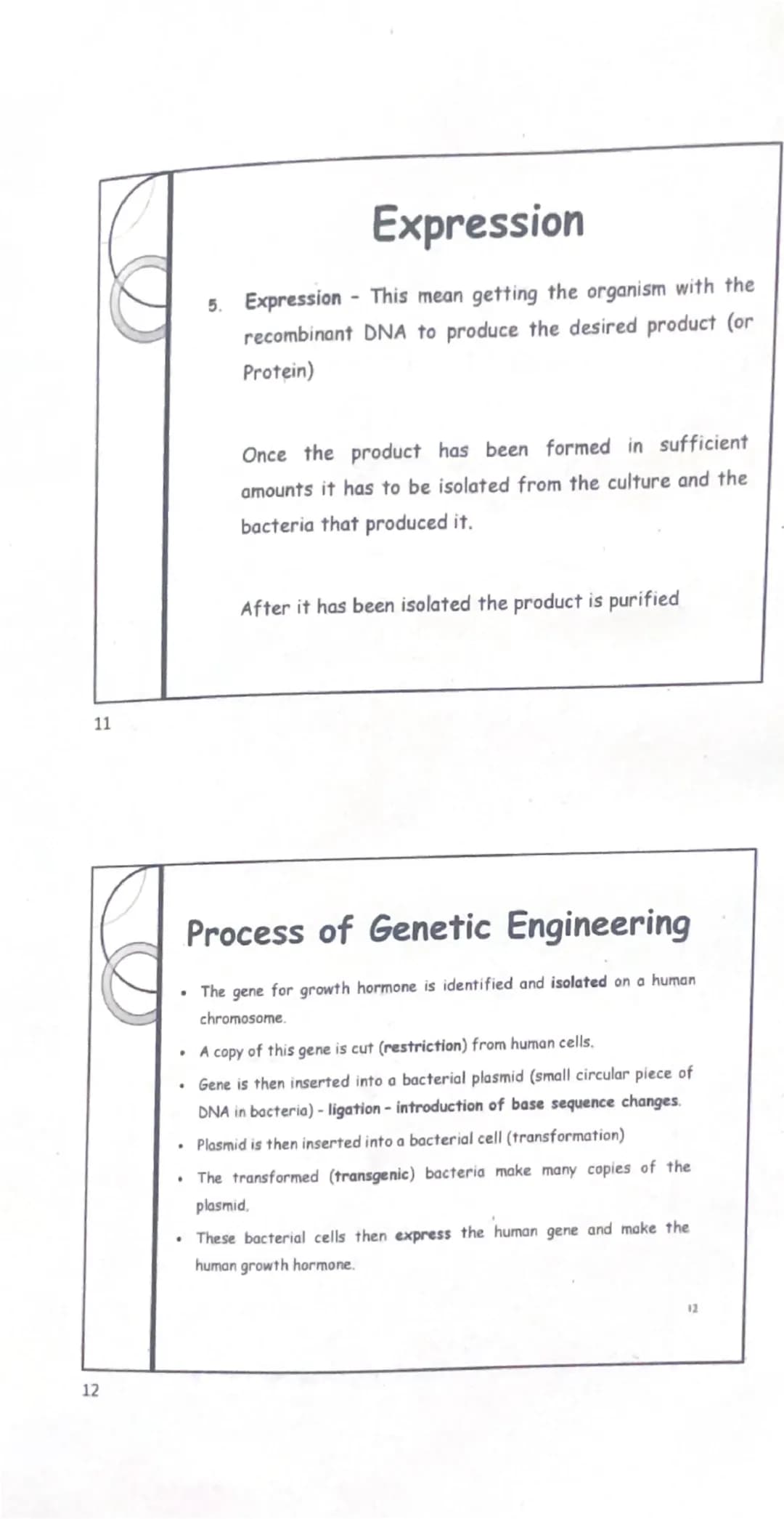 R. Gallagher

www.theconicalflask.ie

# Genetic Engineering

"Genetic engineering is the artificial manipulation or alteration of genes."

#