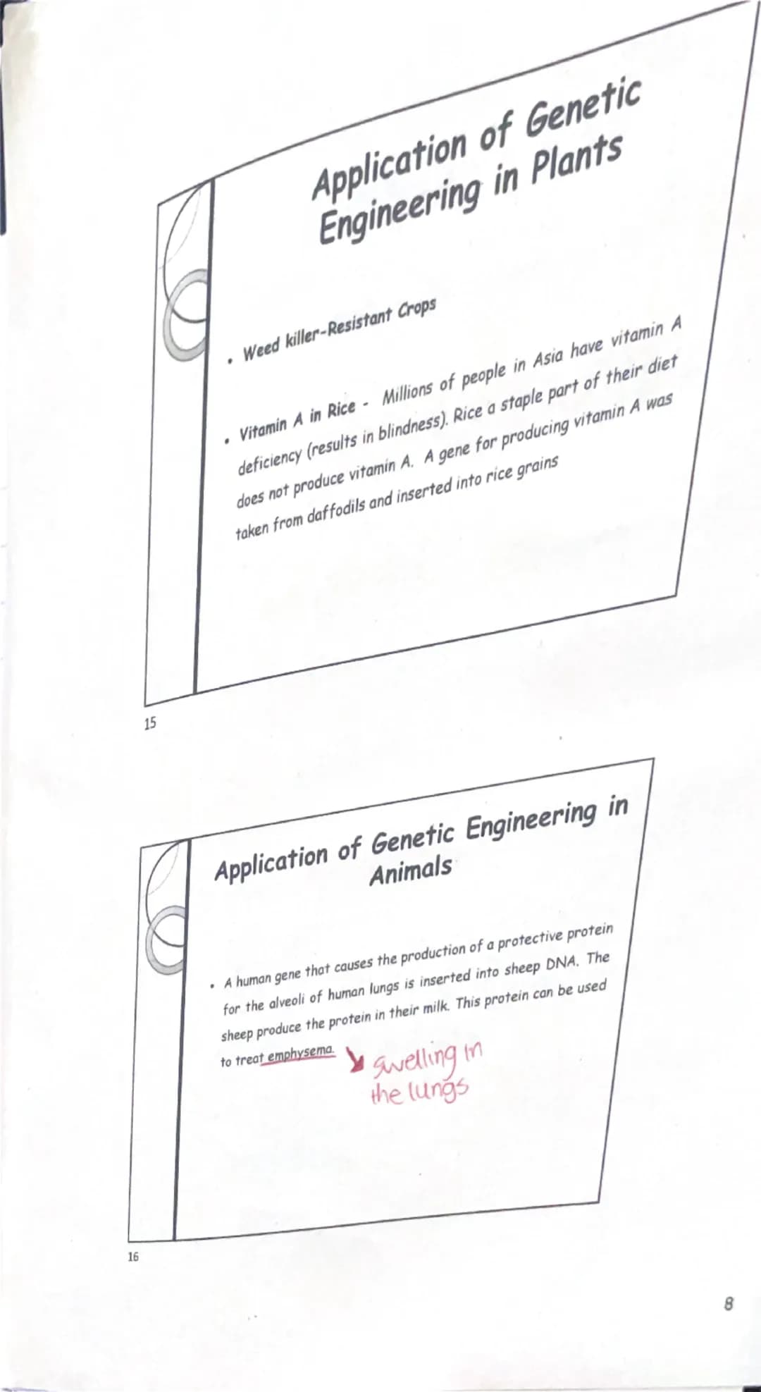 R. Gallagher

www.theconicalflask.ie

# Genetic Engineering

"Genetic engineering is the artificial manipulation or alteration of genes."

#