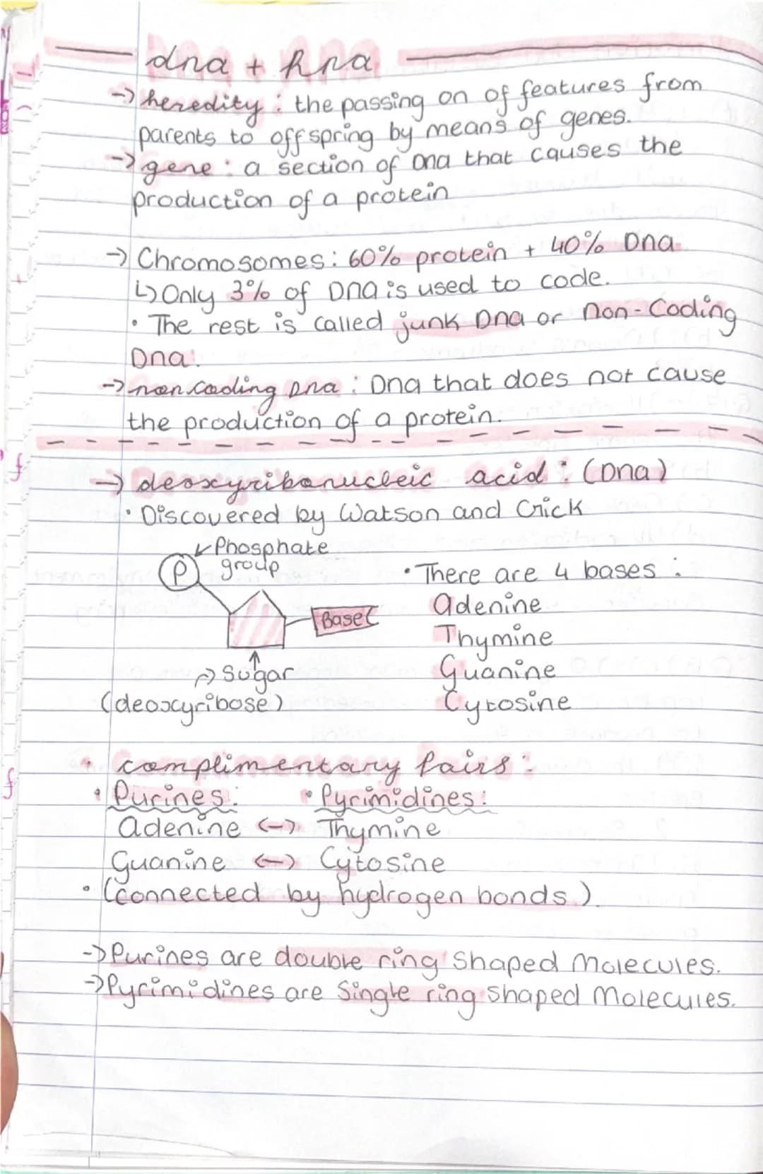 dna + kra

-> heredity: the passing on of features from
parents to offspring by means of genes.
-> gene: a section of ona that causes the
pr