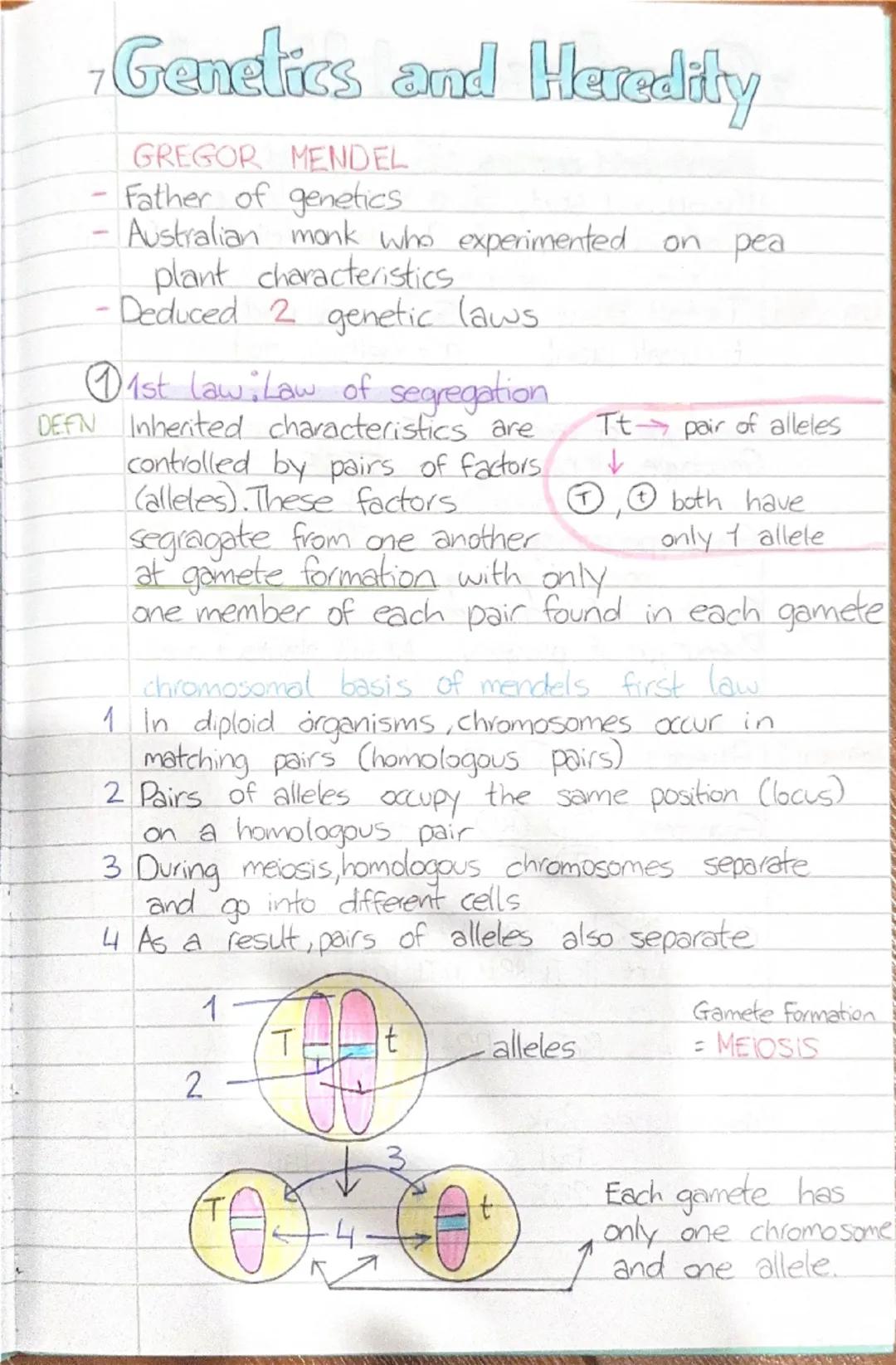 - Genetics and Heredity

Heredity
DEFIN Heredity is the passing on of features from
parents to offspring by means of genes.
aka genetic inhe