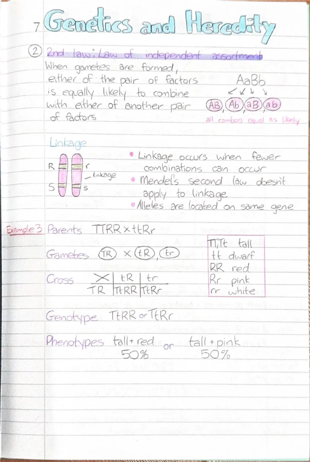 - Genetics and Heredity

Heredity
DEFIN Heredity is the passing on of features from
parents to offspring by means of genes.
aka genetic inhe