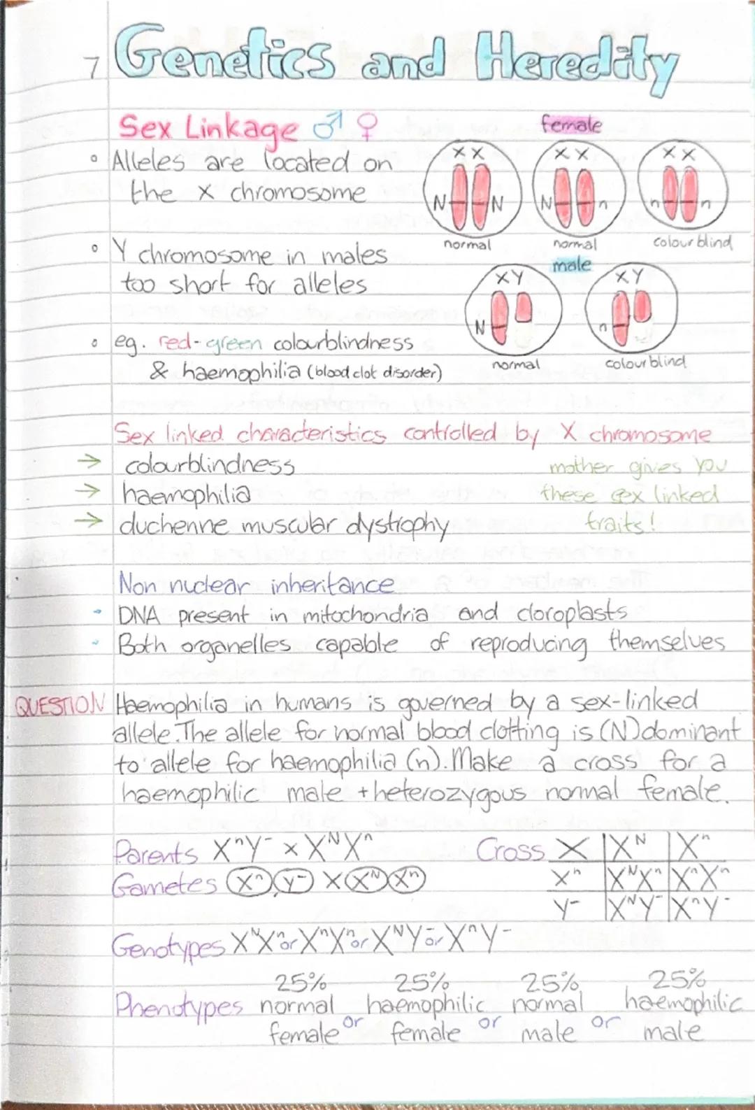 - Genetics and Heredity

Heredity
DEFIN Heredity is the passing on of features from
parents to offspring by means of genes.
aka genetic inhe