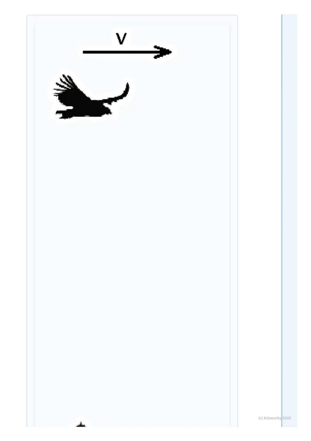 # Kinematika pohybu

## 1. Prehľad kinematiky pohybu

Kinematika pohybu je časť fyziky, ktorá sa zaoberá popisom pohybu telies.
To znamená, 