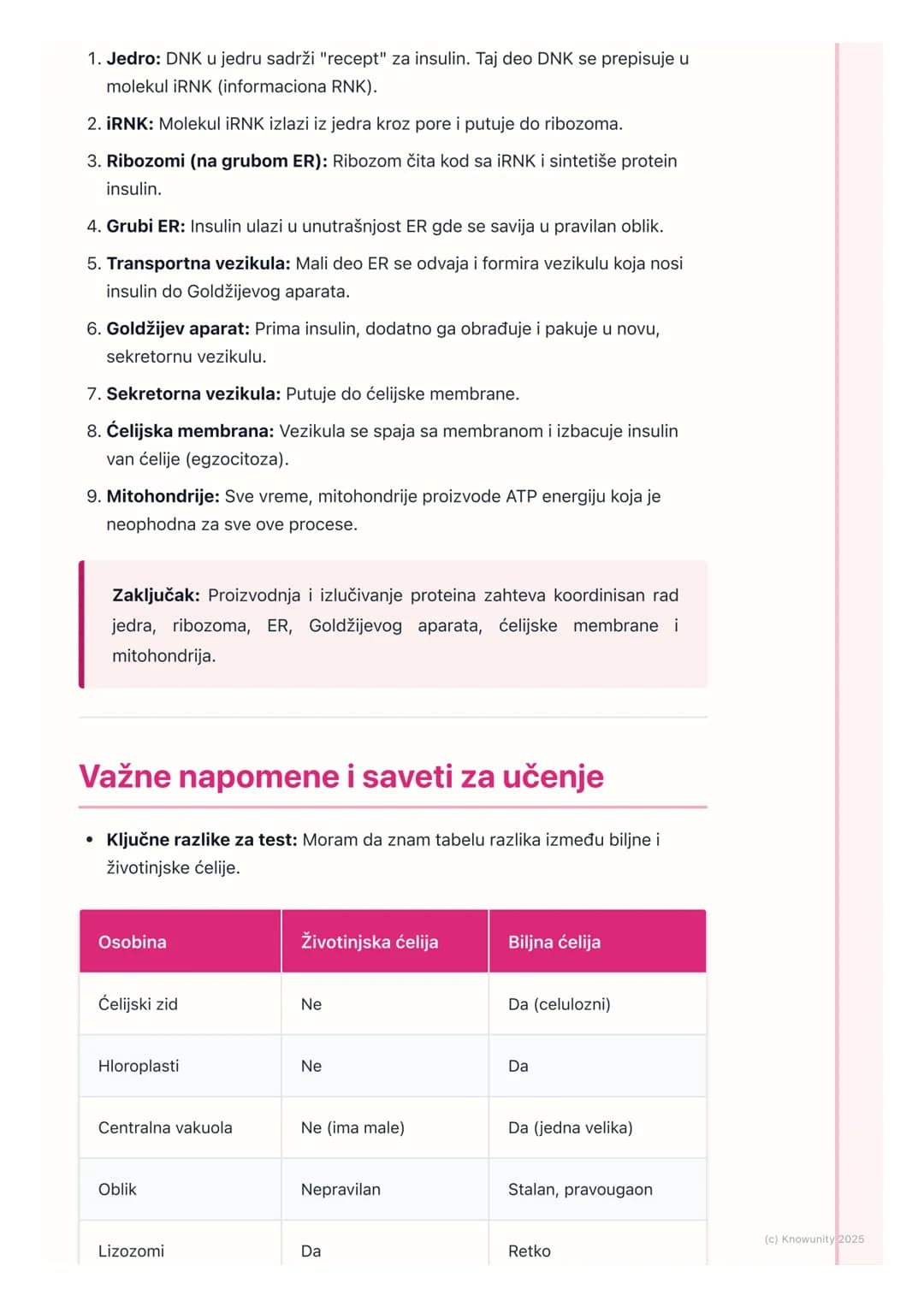 # Funkcije ćelijskih organela

## Uvod u funkcije organela

Ćelija je osnovna jedinica života, ali unutar nje se dešava mnogo toga.
Organele