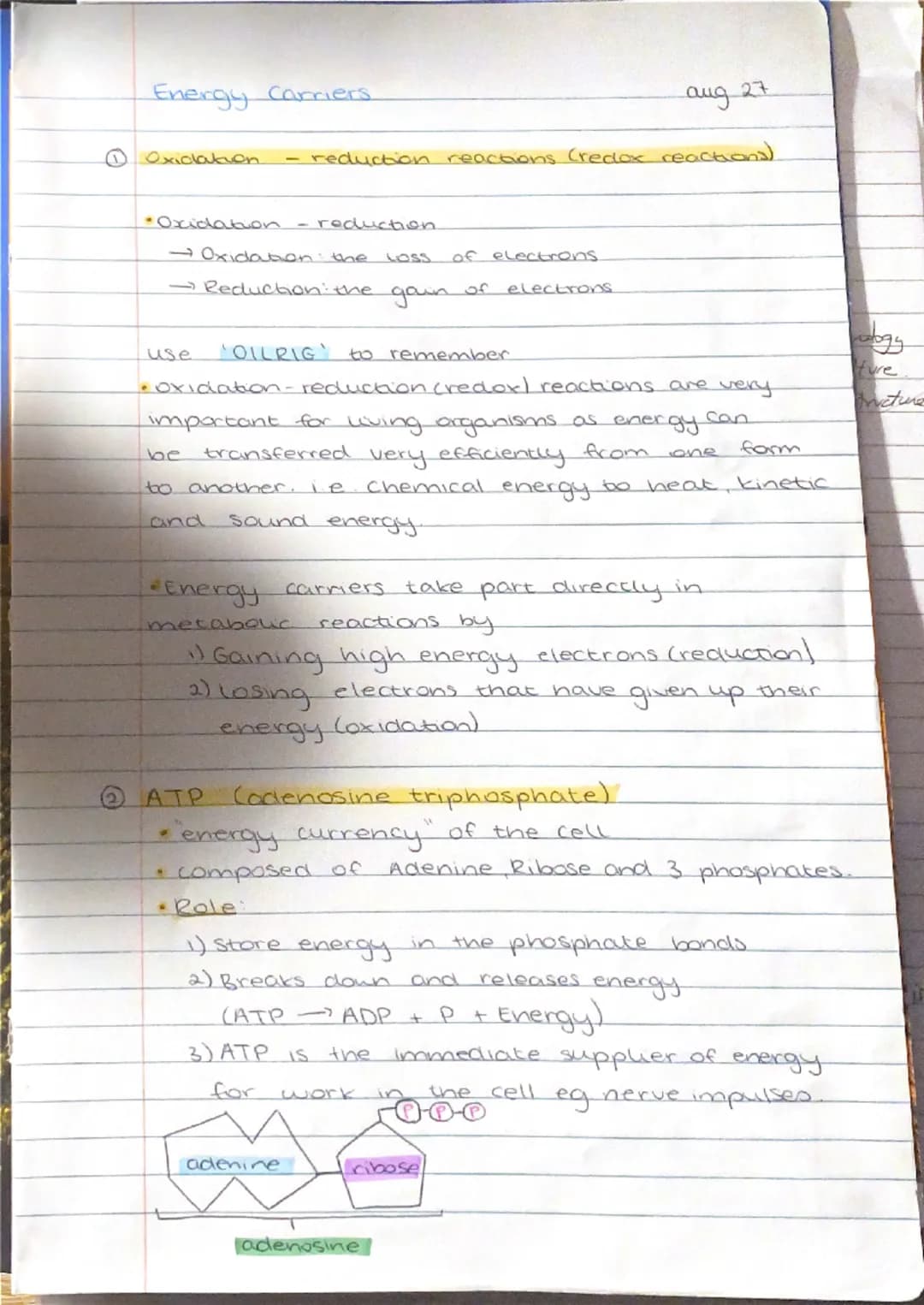 Energy Carriers.
aug 27

Oxidation - reduction reactions (reclox reactions).
*Oxidabon reduction
→Oxidation the loss of electrons.
→Reductio