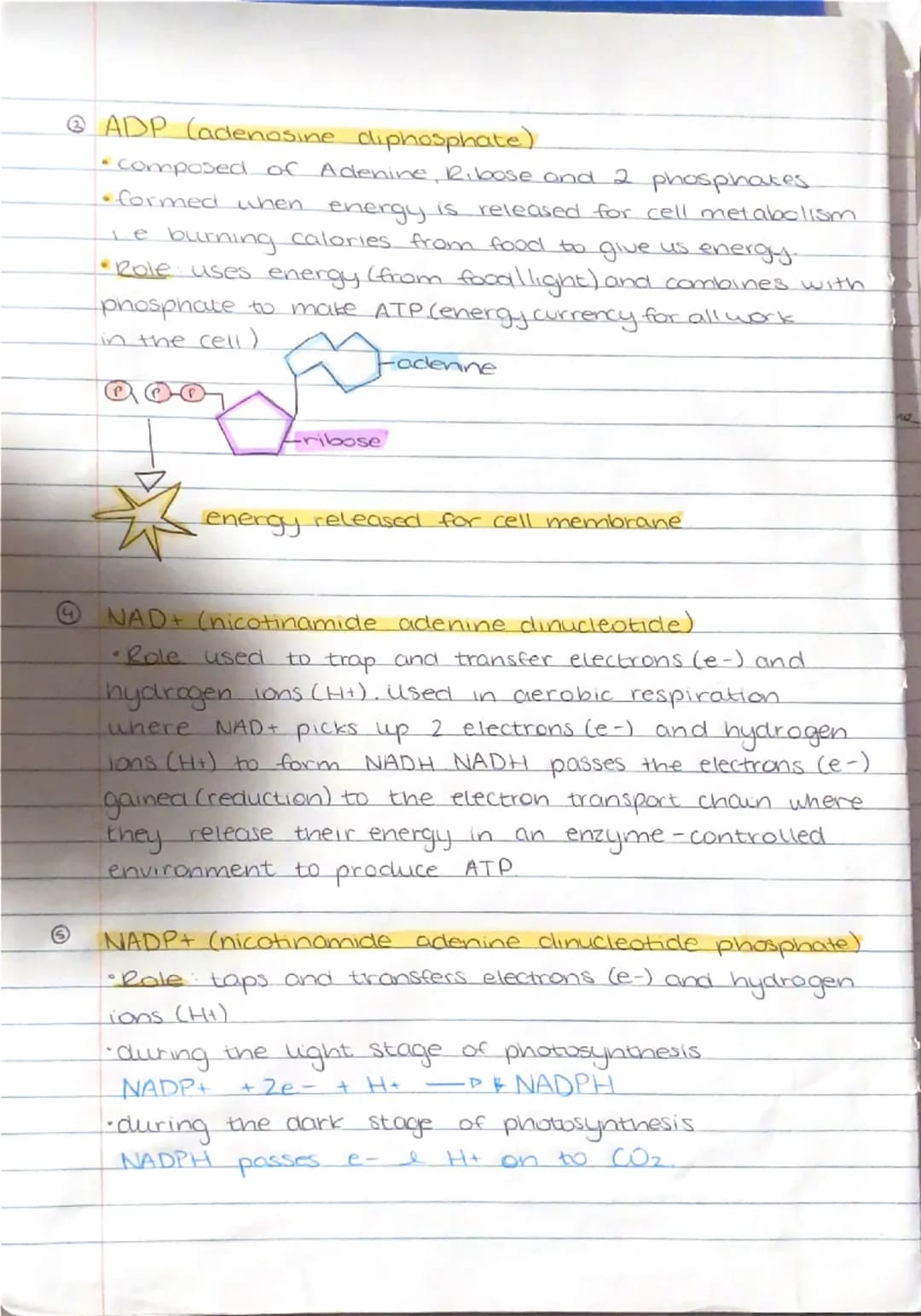Energy Carriers.
aug 27

Oxidation - reduction reactions (reclox reactions).
*Oxidabon reduction
→Oxidation the loss of electrons.
→Reductio