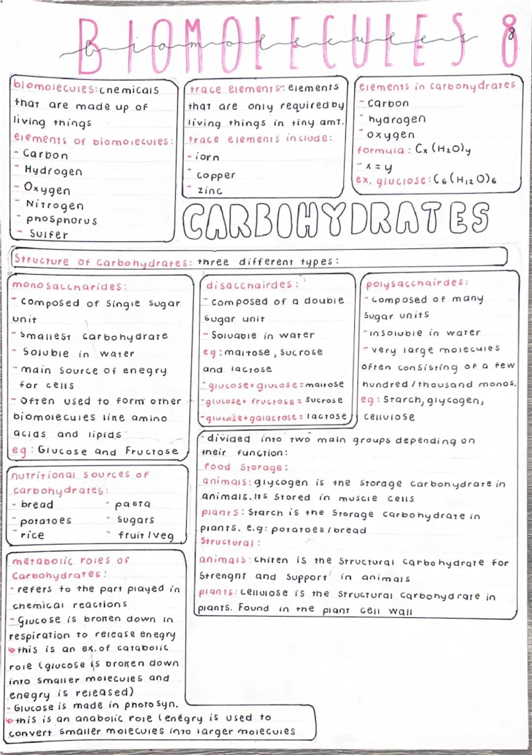 # BIOMOLECULES 8

biomolecules:cnemicals
that are made up of
living things
elements of biomolecules:
- Carbon
- Hydrogen
- Oxygen
- Nitrogen