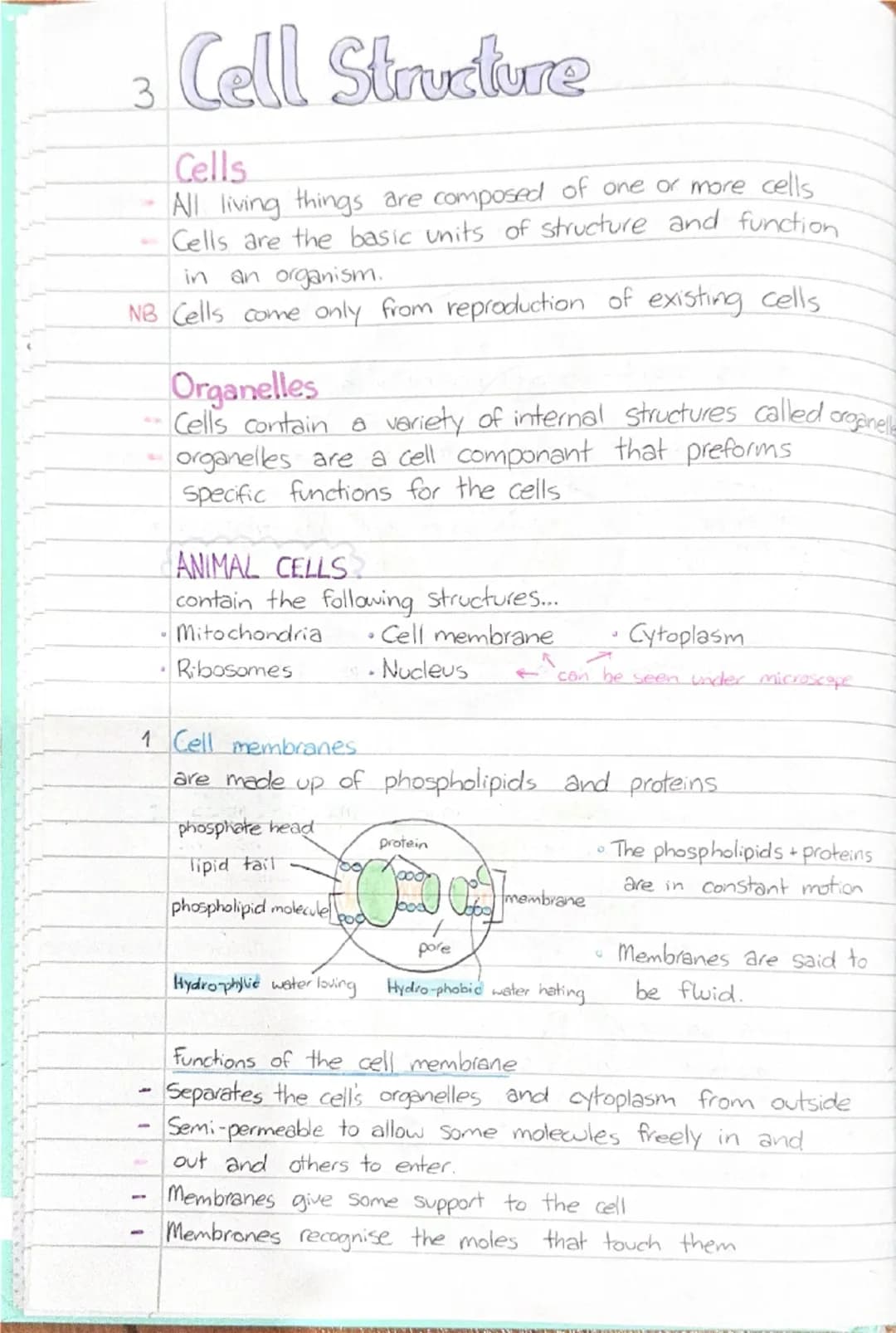 3 Cell Structure hala

THE CELL
DEFN The cell is the smallest unit of matter that can carry
on all the processes of life.

nuclear pore

chr