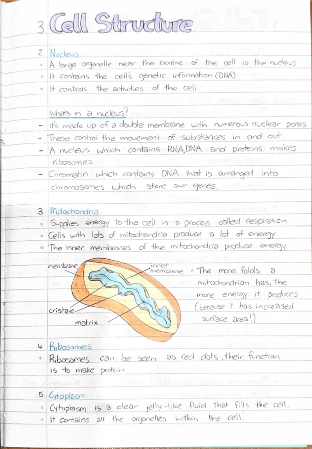 3 Cell Structure hala

THE CELL
DEFN The cell is the smallest unit of matter that can carry
on all the processes of life.

nuclear pore

chr