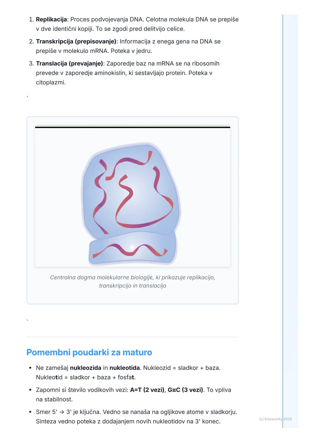 # Zgradba in funkcija nukleinskih
kislin

Osnove nukleinskih kislin

Nukleinske kisline so makromolekule, ki so ključne za življenje, saj no