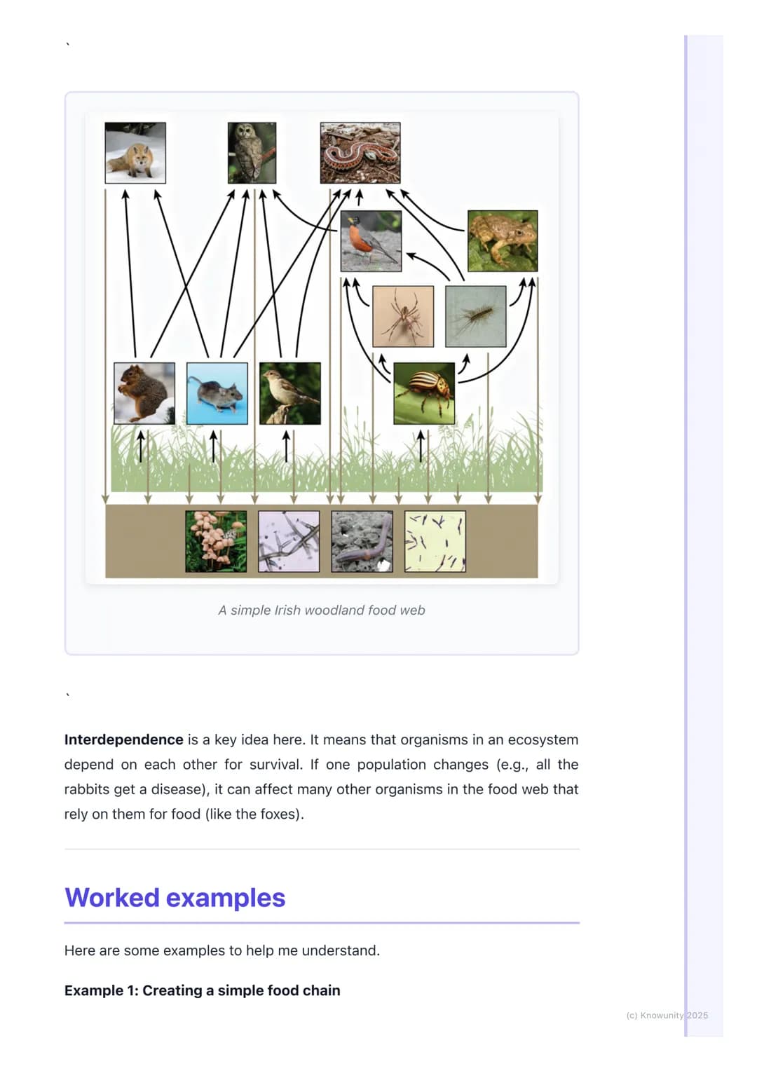 # Ecology and Ecosystems

## An introduction to ecology

Ecology is the study of how living things (organisms) interact with each other
and 