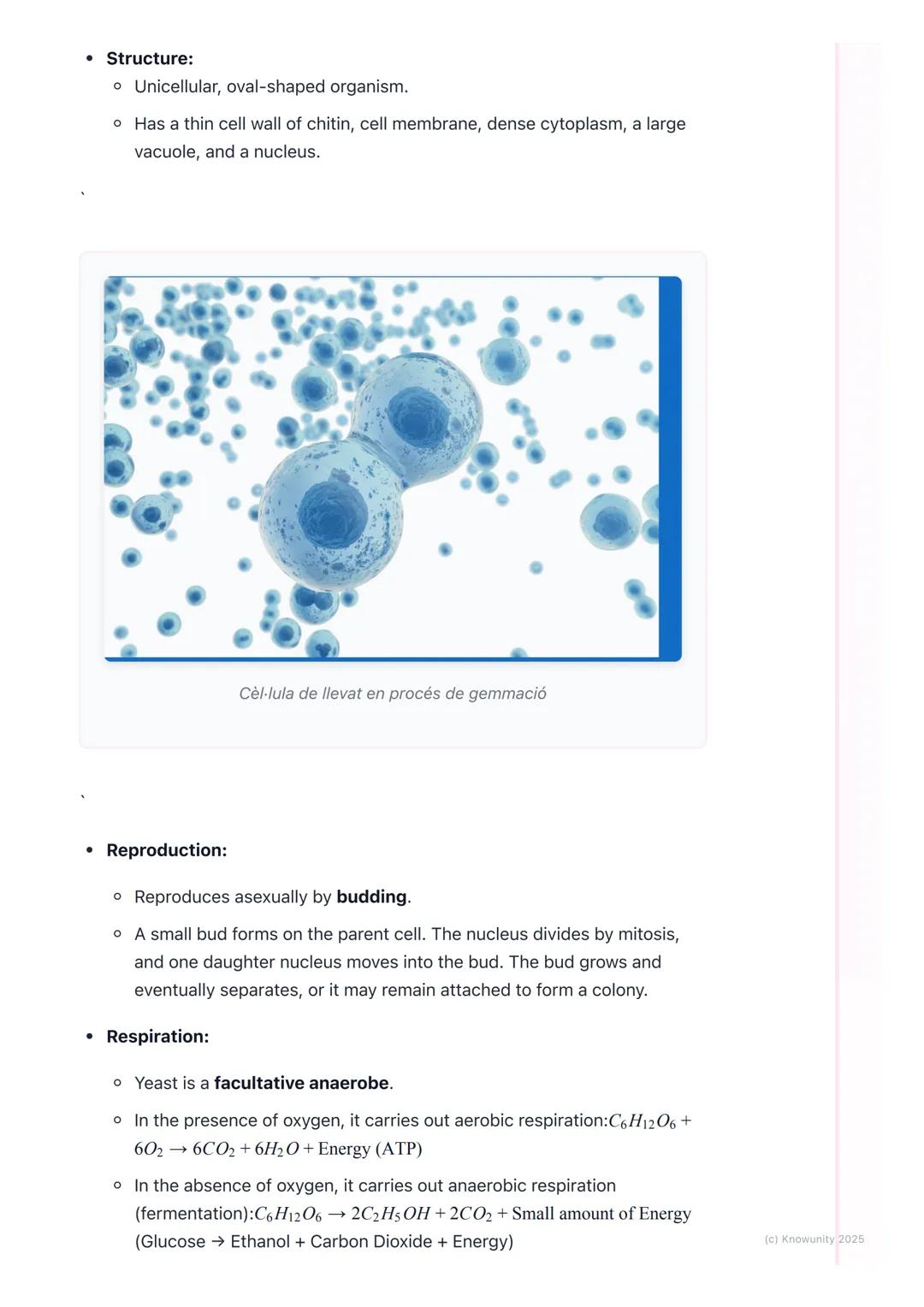 # Fungi

General characteristics of fungi

Fungi are a unique kingdom of organisms, separate from plants and animals.
They are eukaryotic, m