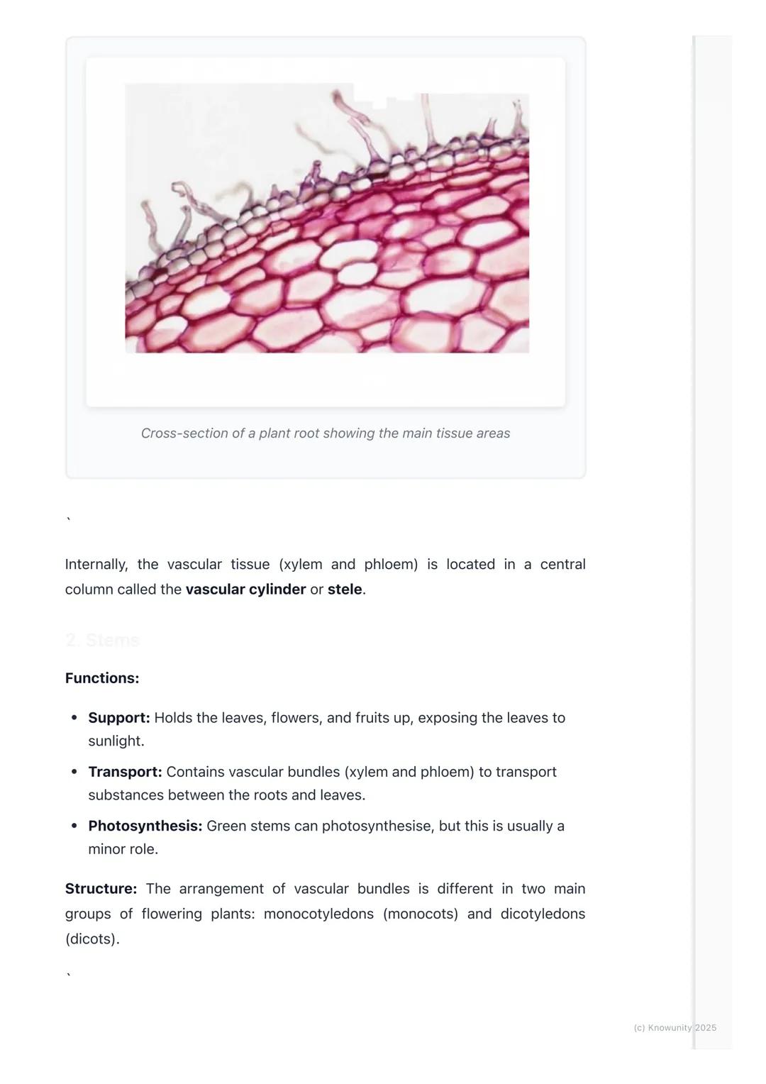 # Plant Structure

Introduction to plant organisation

Plants are multicellular organisms, just like us, but they're organised
differently. 