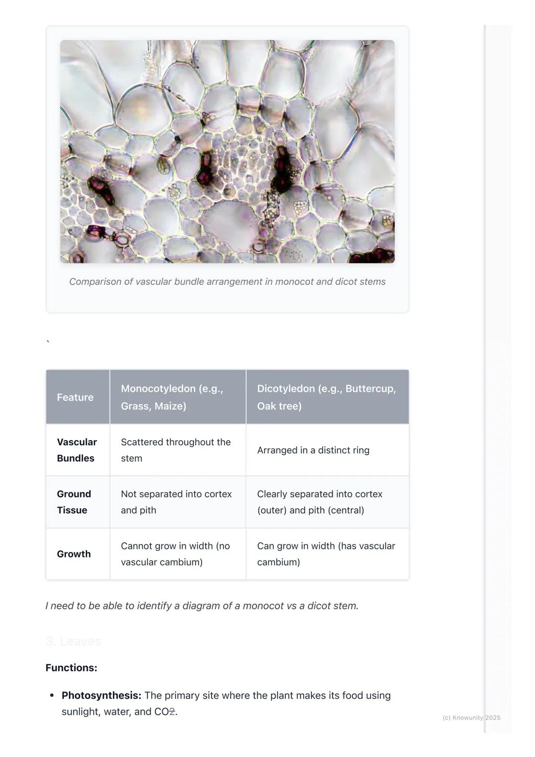 # Plant Structure

Introduction to plant organisation

Plants are multicellular organisms, just like us, but they're organised
differently. 