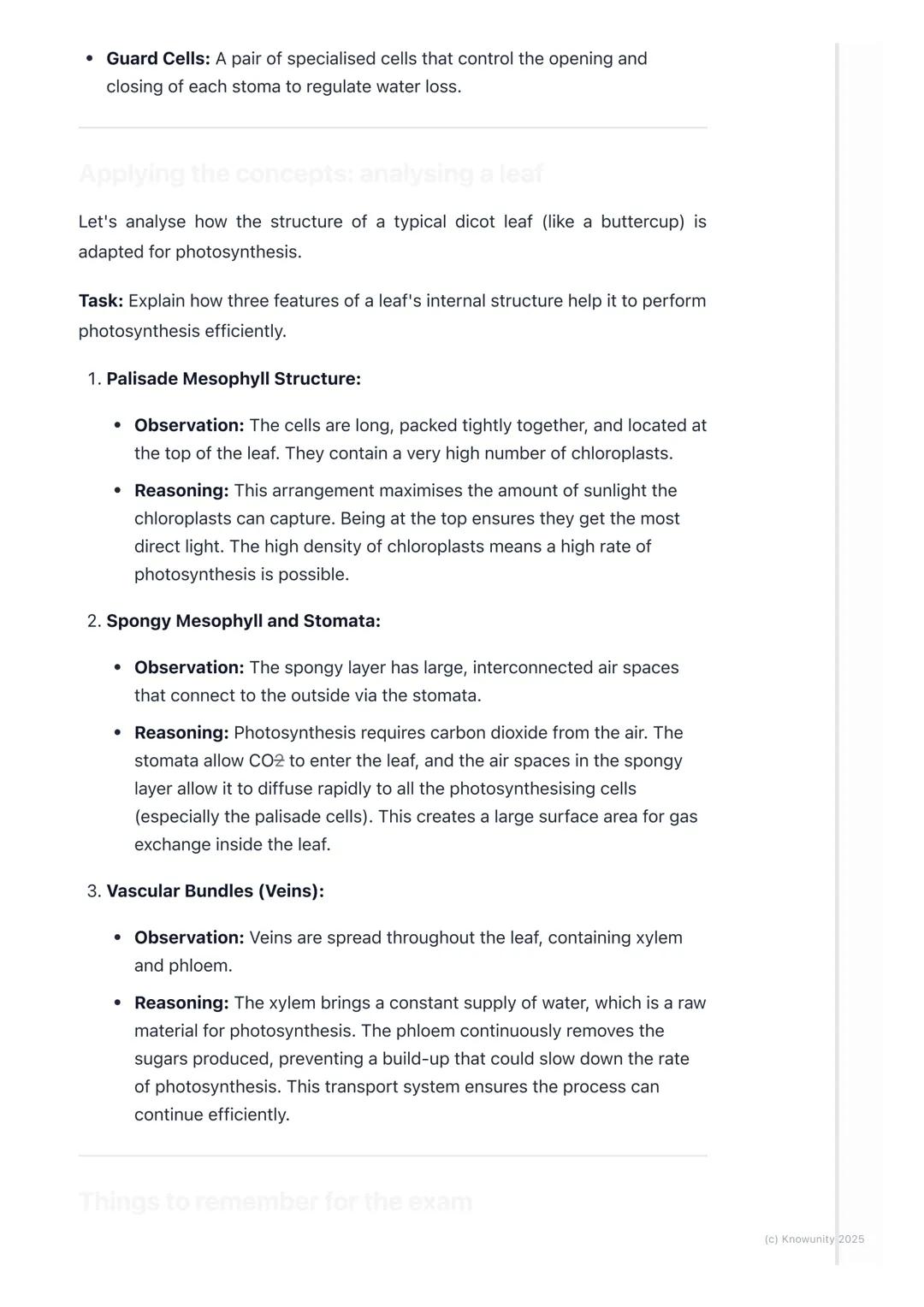 # Plant Structure

Introduction to plant organisation

Plants are multicellular organisms, just like us, but they're organised
differently. 