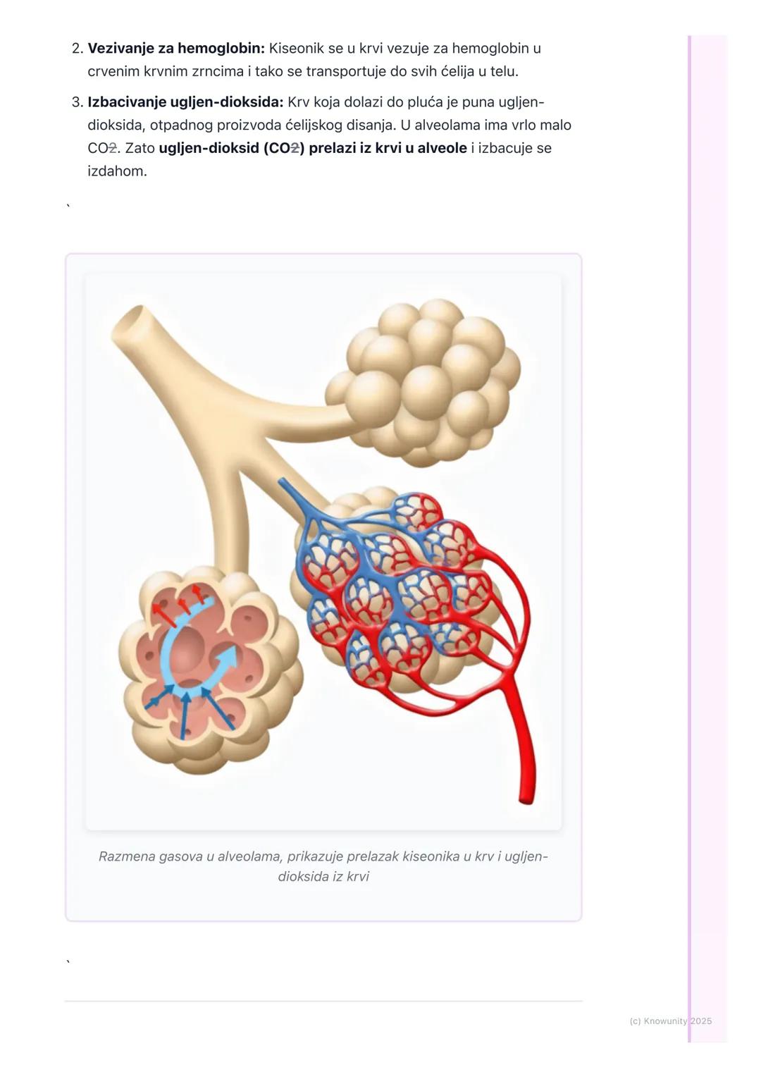 # Sistem za disanje

## Uvod i značaj disanja

Sistem za disanje je ključan za život. Njegov glavni zadatak je da obezbedi
kiseonik (02) za 