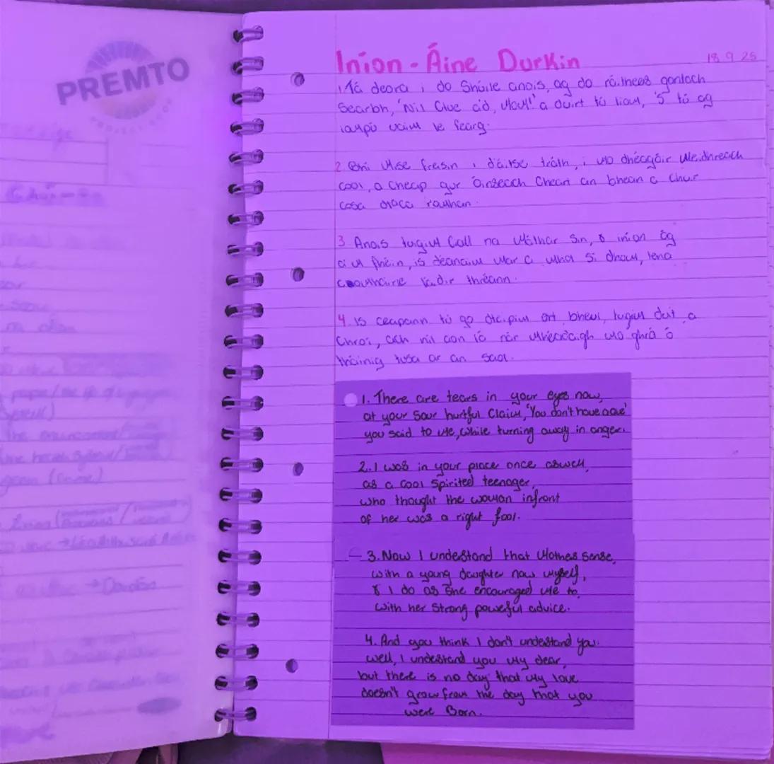 PREMTO

PROJECT DOOF

Inion-Áine Durkin
189 25

Má deora do Shúile anois, ag do rá. thees gantoch
Searbh, 'Nil Clue cid, ular!' a duirt to l
