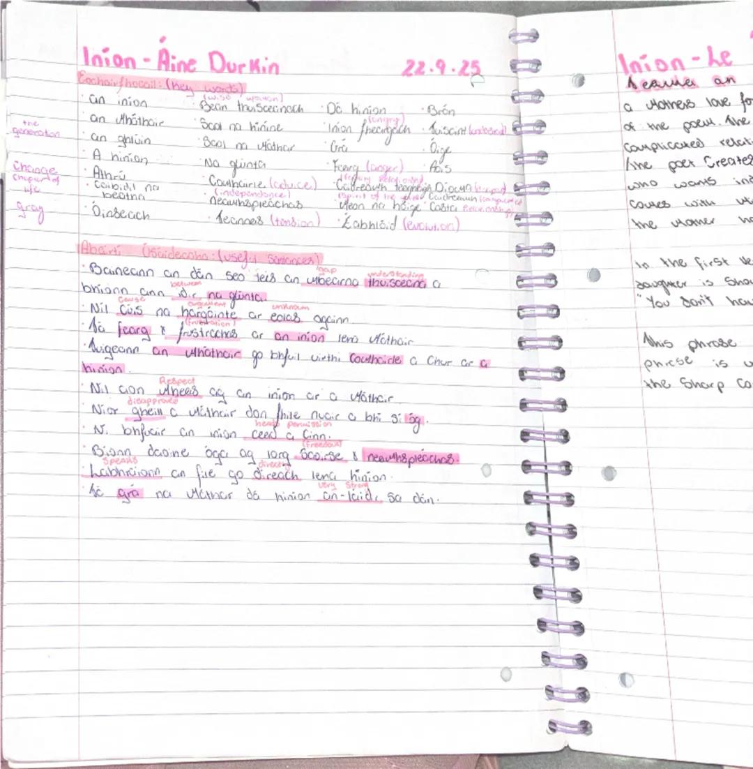PREMTO

PROJECT DOOF

Inion-Áine Durkin
189 25

Má deora do Shúile anois, ag do rá. thees gantoch
Searbh, 'Nil Clue cid, ular!' a duirt to l