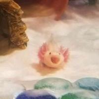 user profile picture