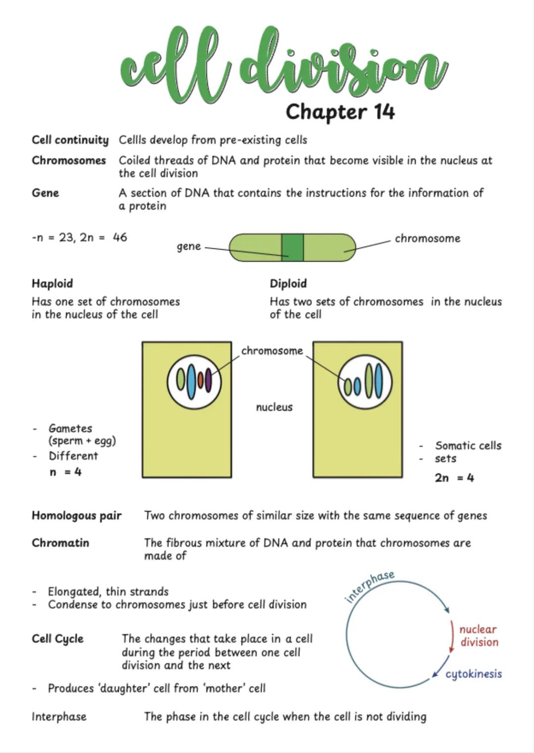 # CHAPTER 7
# cell structure
Ultrastructure The detail of a structure as seen through an electron microscope
Animal Cell
Plant Cell
nuc