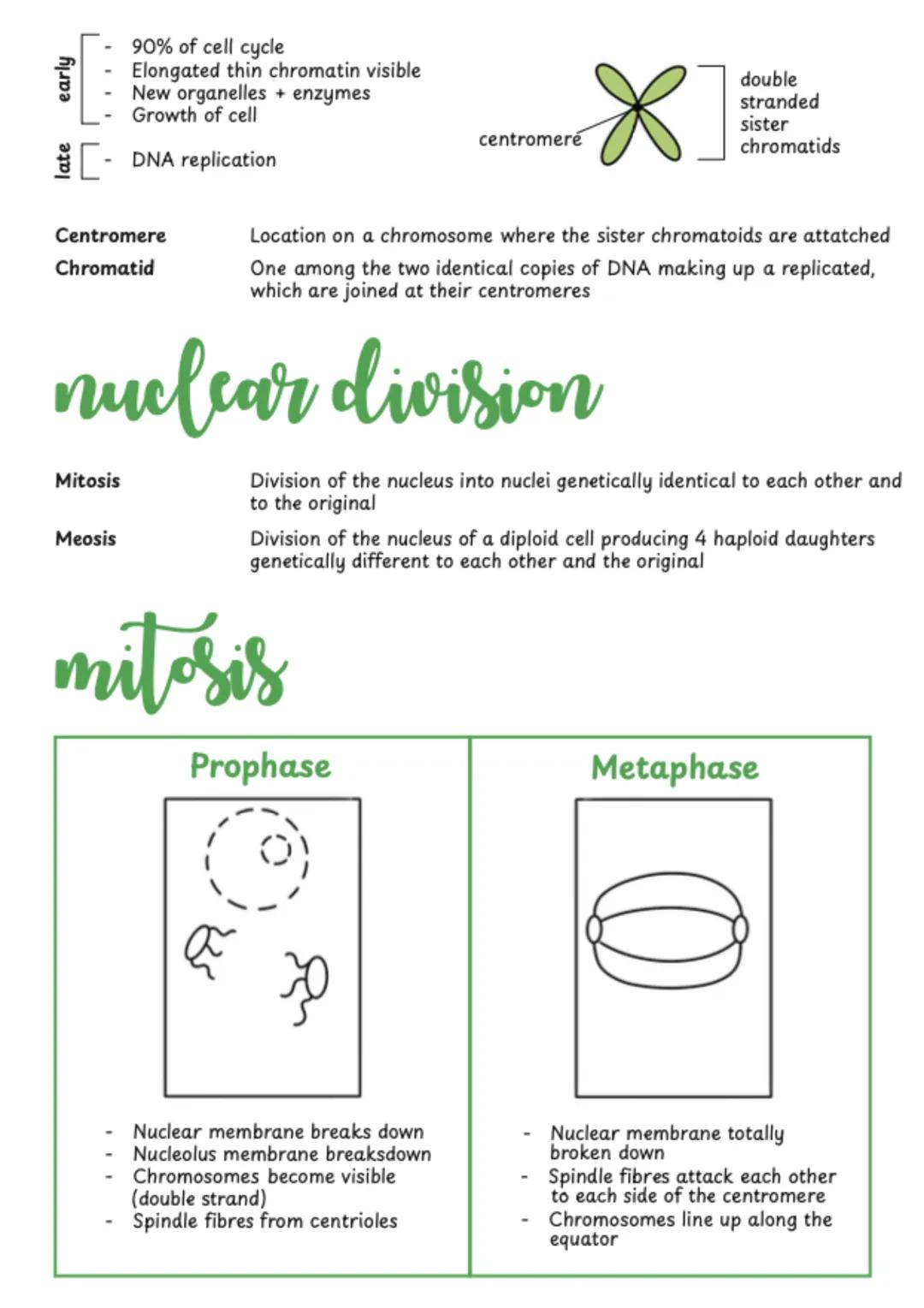 # CHAPTER 7
# cell structure
Ultrastructure The detail of a structure as seen through an electron microscope
Animal Cell
Plant Cell
nuc