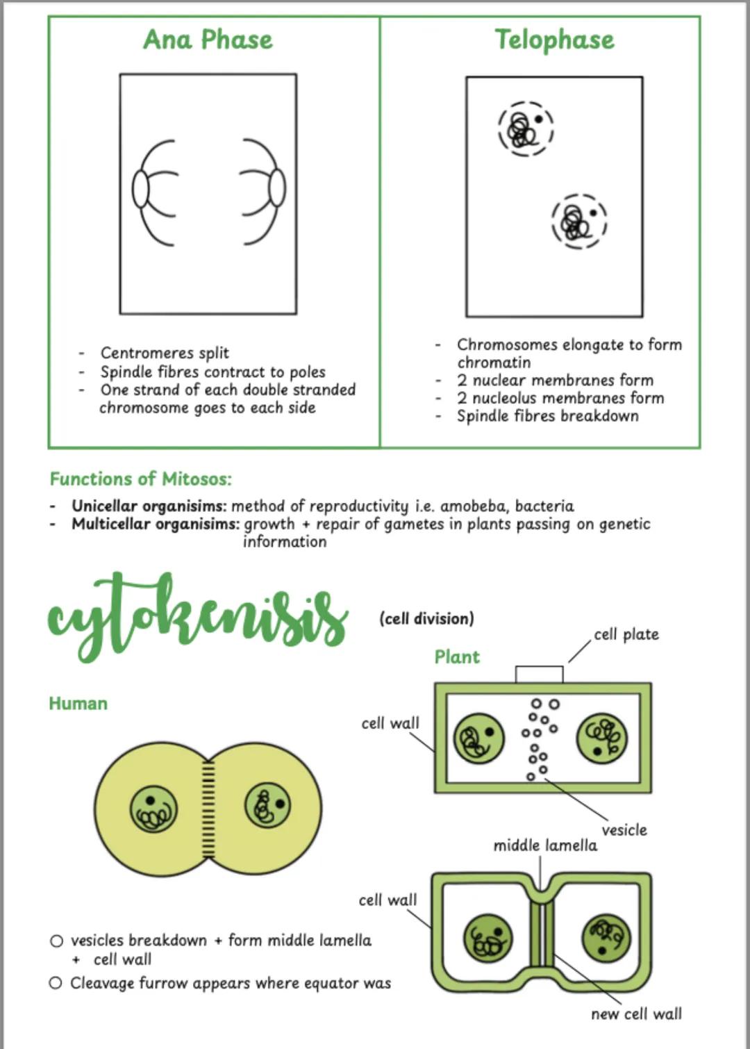 # CHAPTER 7
# cell structure
Ultrastructure The detail of a structure as seen through an electron microscope
Animal Cell
Plant Cell
nuc