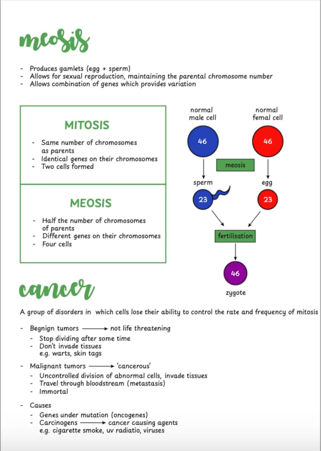 # CHAPTER 7
# cell structure
Ultrastructure The detail of a structure as seen through an electron microscope
Animal Cell
Plant Cell
nuc