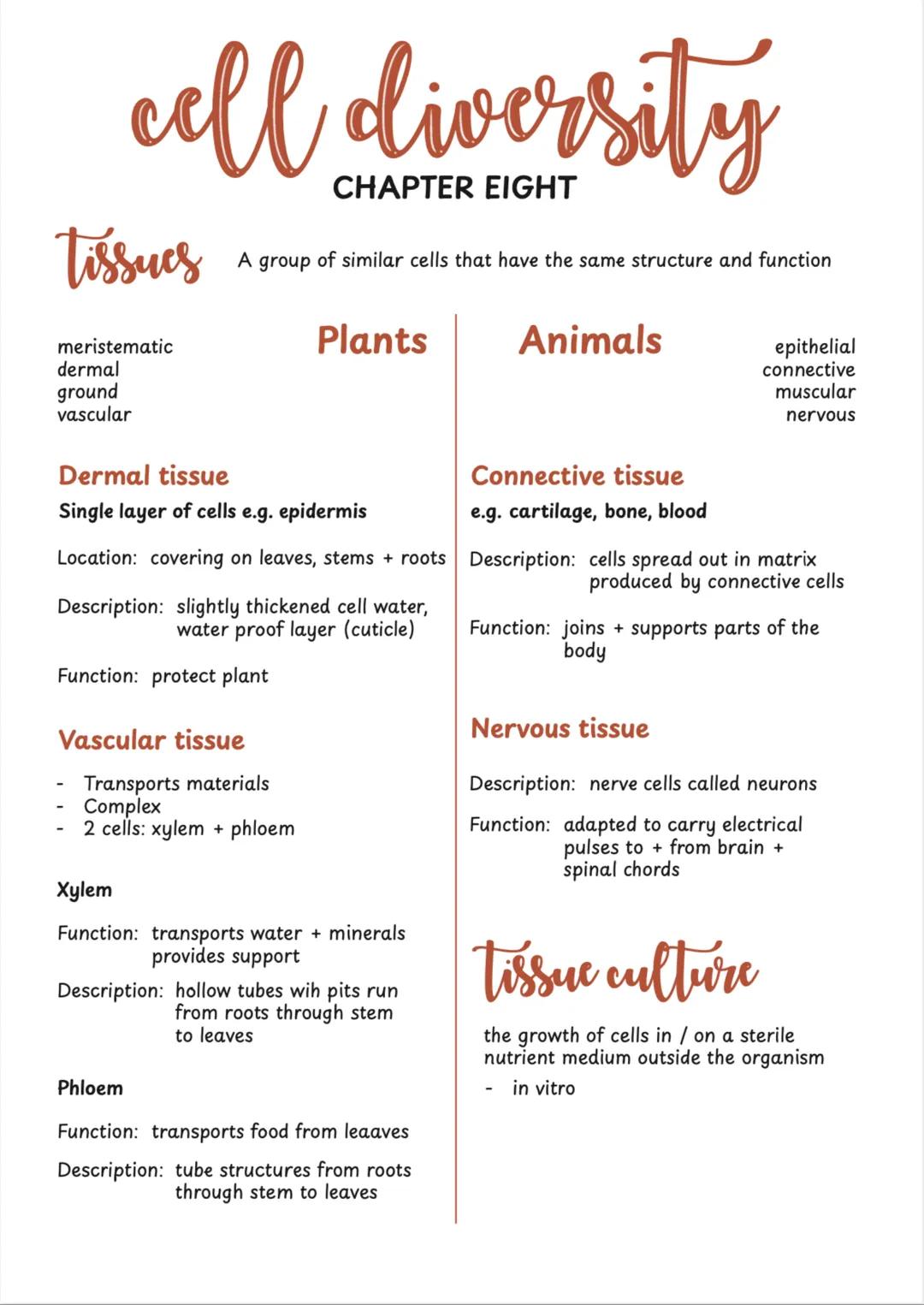# CHAPTER 7
# cell structure
Ultrastructure The detail of a structure as seen through an electron microscope
Animal Cell
Plant Cell
nuc