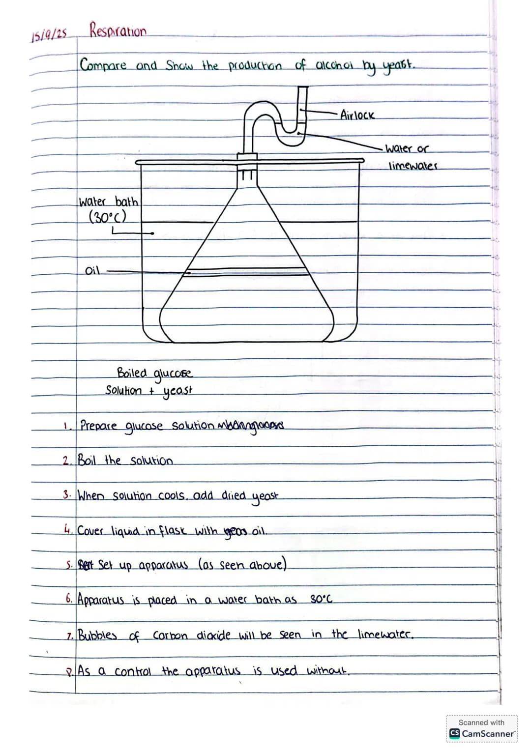 15/9/25 Respiration
Compare and Show the production of alcohol by yearst.
Water bath
(30°C)
Oil
Airlock
•Water or
limewater
Boiled glu