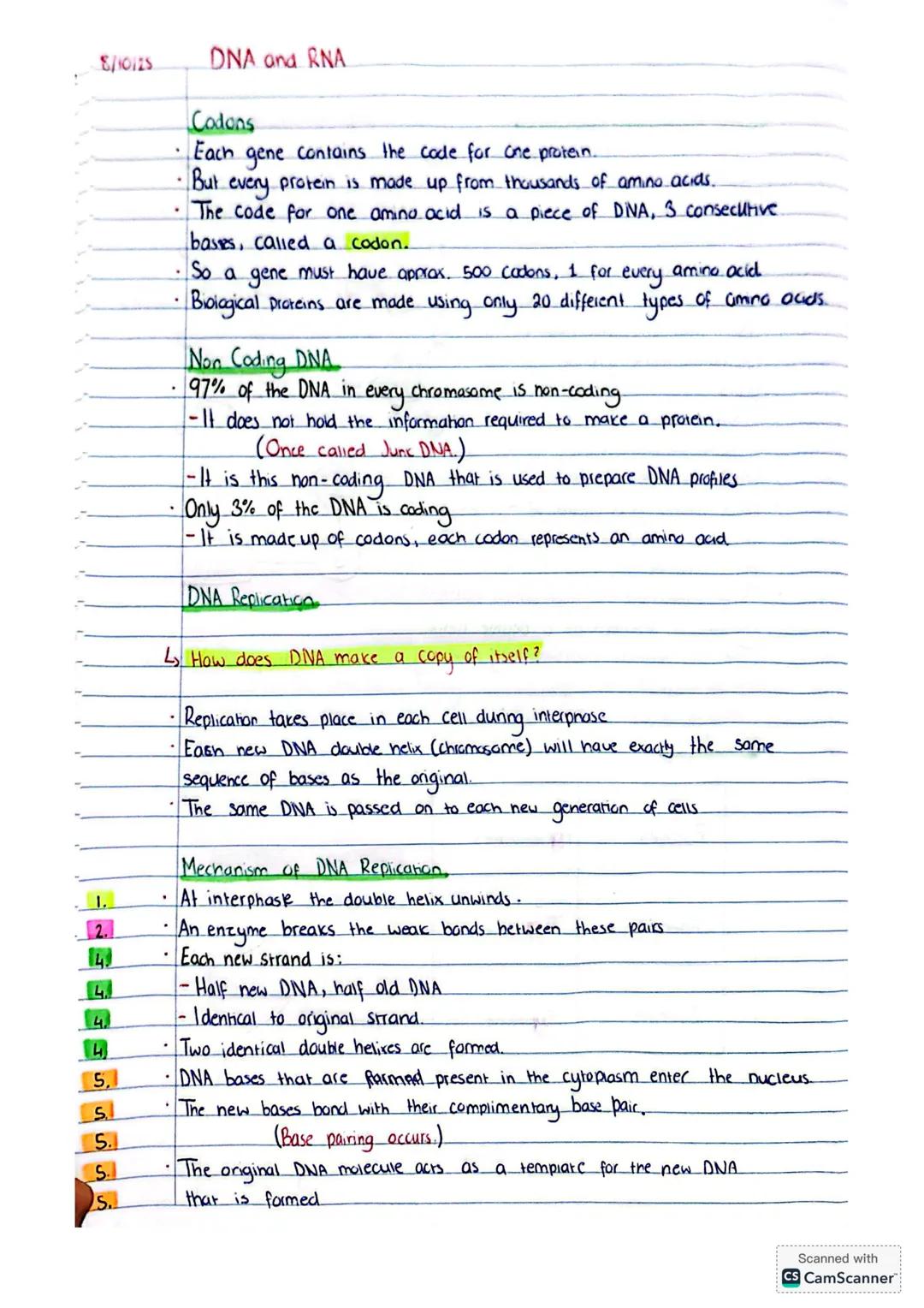 5/10/25
DNA and RNA
Deoxyribonucleic Acid (DNA)
DNA Structure.
Nitrogen bases
* A: Adenine
* T: Thymine
* C=Cytosine
* G=Guanine
*