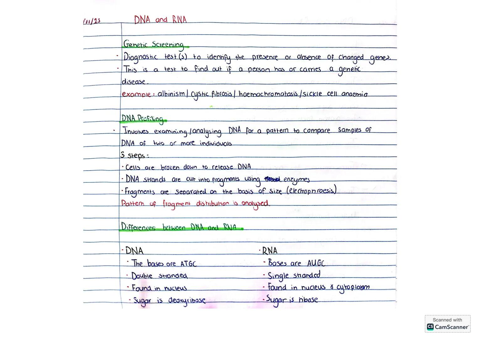 5/10/25
DNA and RNA
Deoxyribonucleic Acid (DNA)
DNA Structure.
Nitrogen bases
* A: Adenine
* T: Thymine
* C=Cytosine
* G=Guanine
*