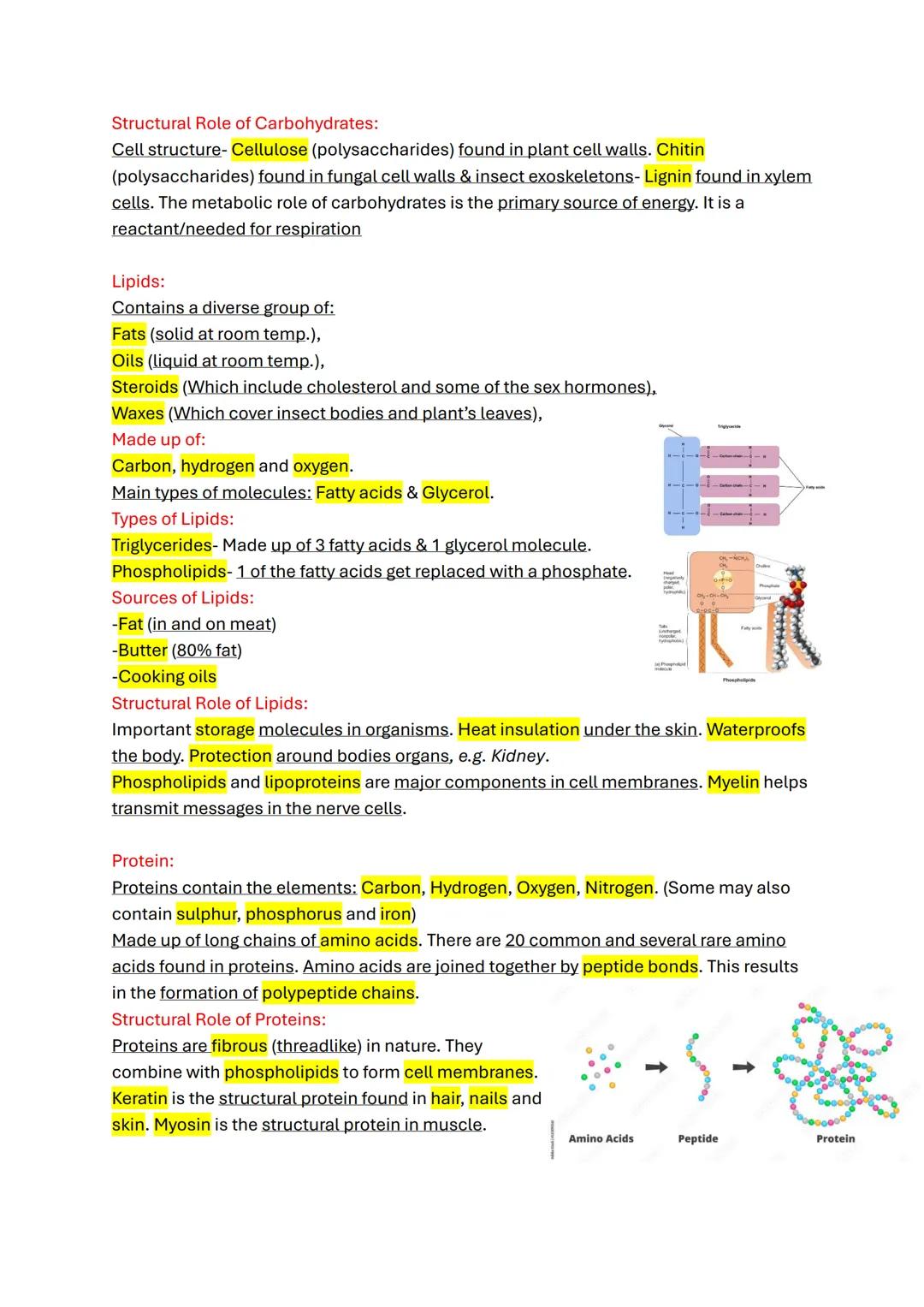 Food:
Food is needed for:
→ Energy,
→ Growth of new cells & repair of existing cells (tissue, organs, etc.)
Food also supplies the materials