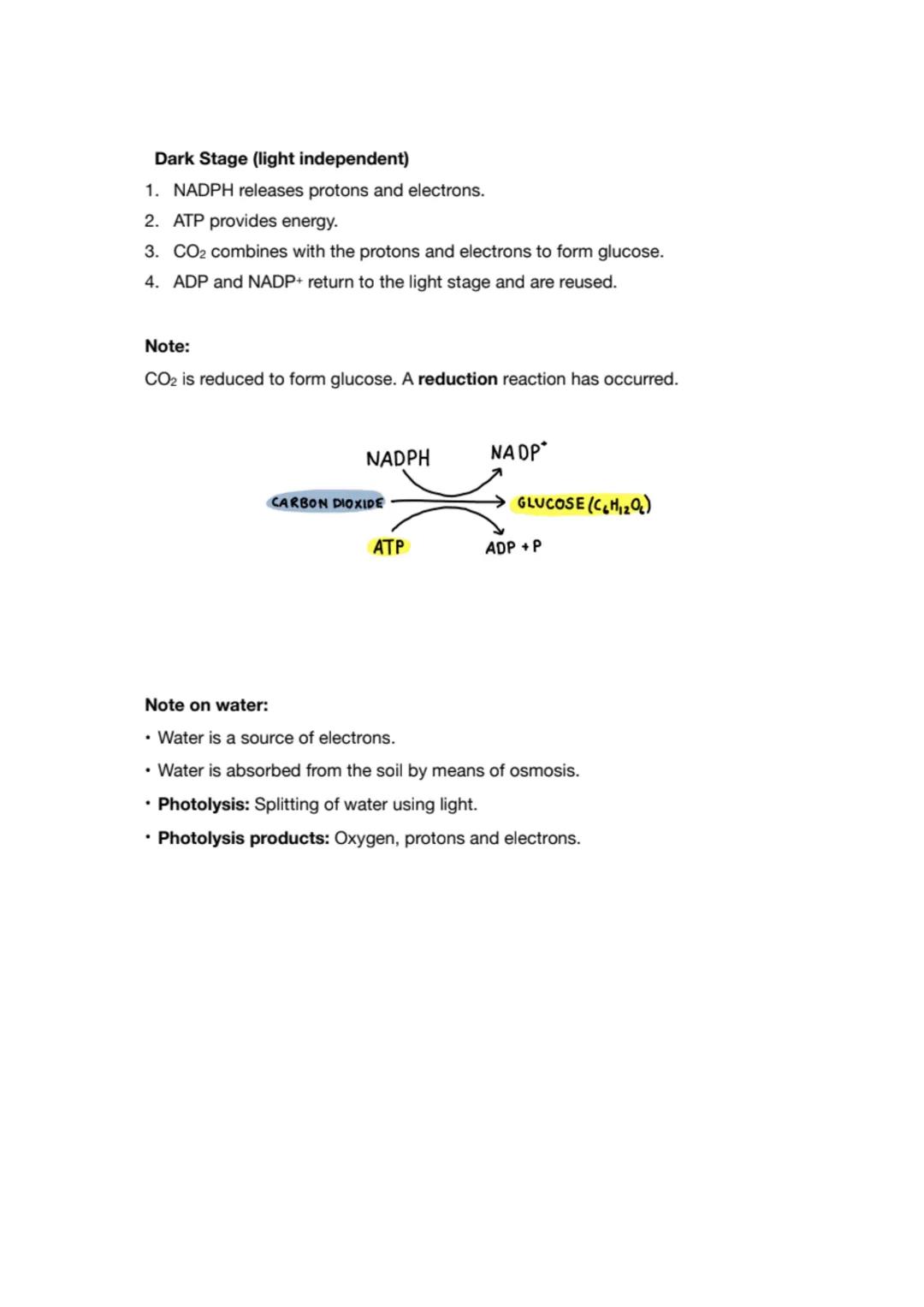 # Photosynthesis
Photosynthesis is the production of carbohydrate (glucose) from carbon dioxide and water using
light energy trapped by chl