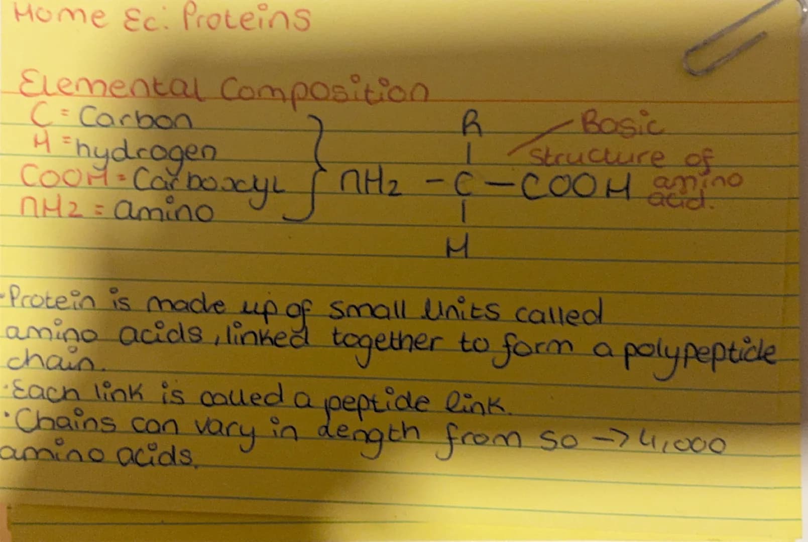 # Home Ec. Proteins
## Elemental Composition
* C = Carbon
* H = hydrogen
* COOH = Carboxyl
* NH₂ = amino
```
R
|
NH₂ - C - COO