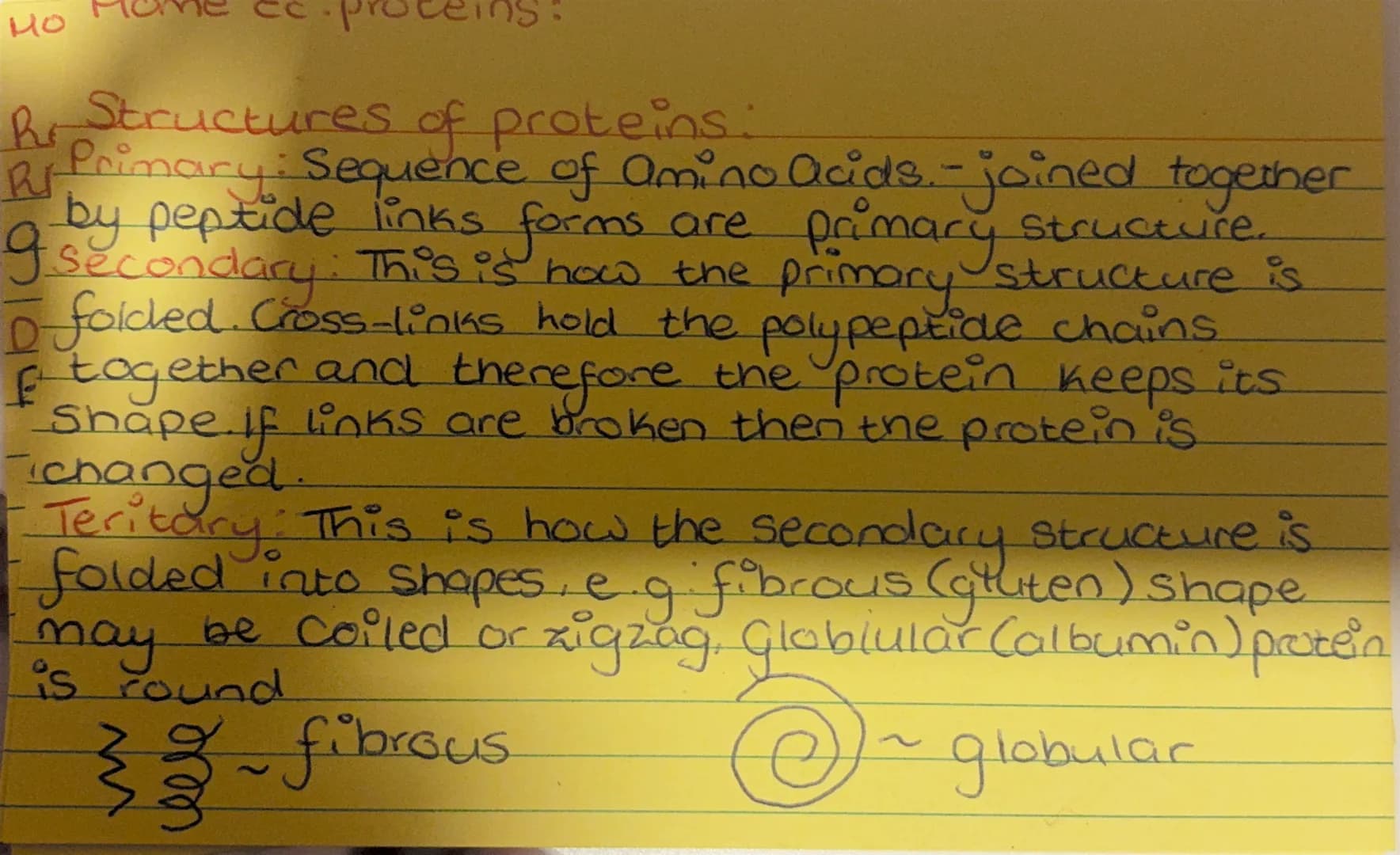 # Home Ec. Proteins
## Elemental Composition
* C = Carbon
* H = hydrogen
* COOH = Carboxyl
* NH₂ = amino
```
R
|
NH₂ - C - COO
