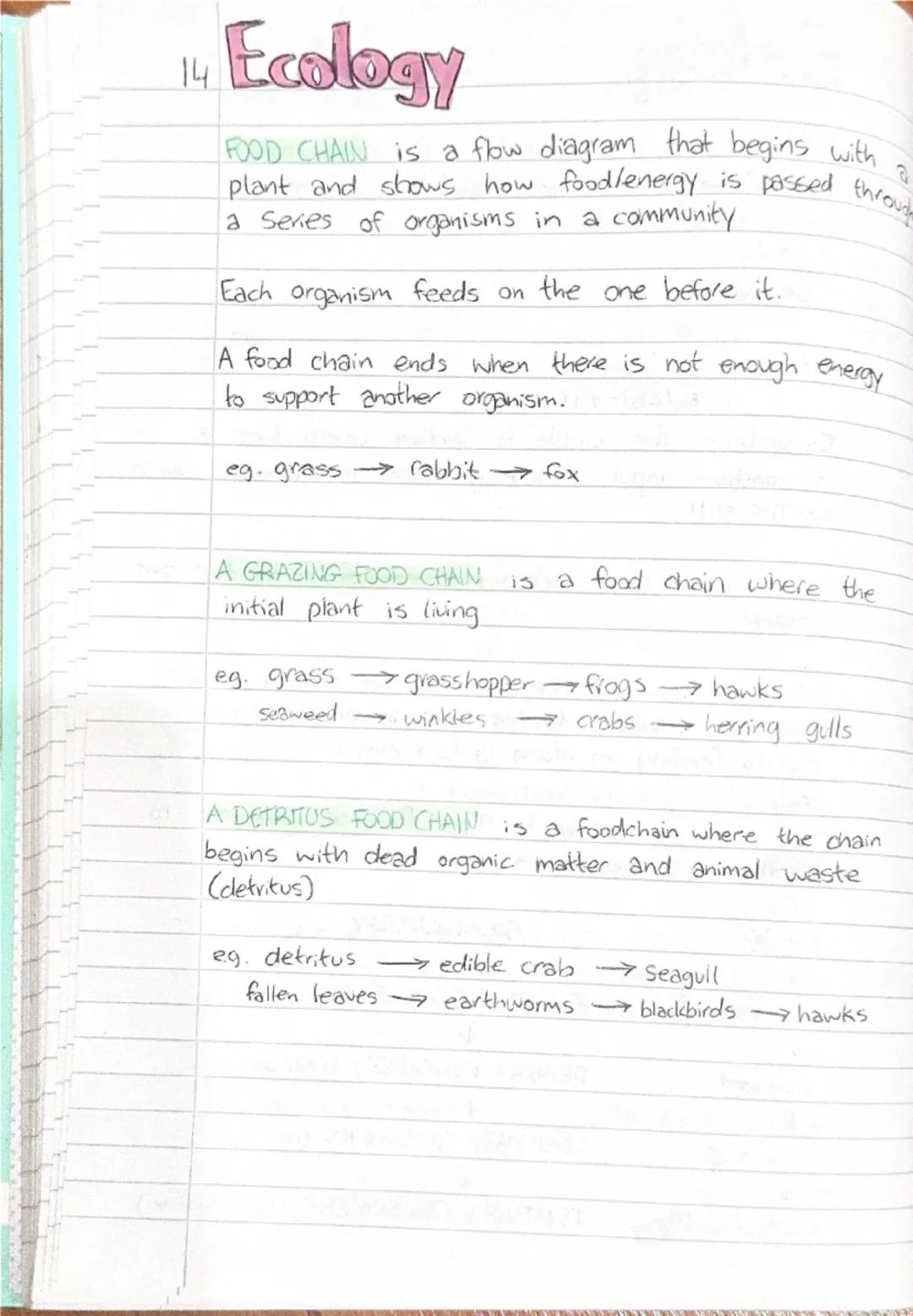 14. Ecology
FOOD CHAIN is a flow diagram that begins with
plant and shows how foodlenergy is passed throud
a series of organisms in a commu