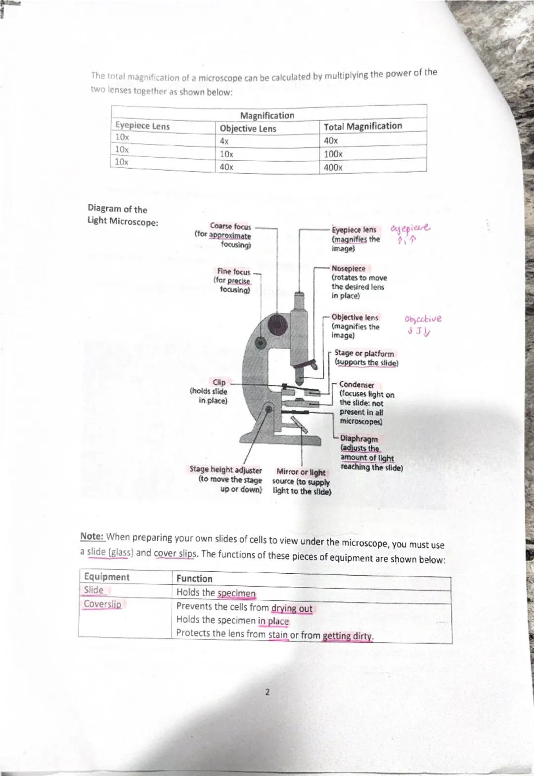 The total magnification of a microscope can be calculated by multiplying the power of the
two lenses together as shown below:
| Eyepiece Le