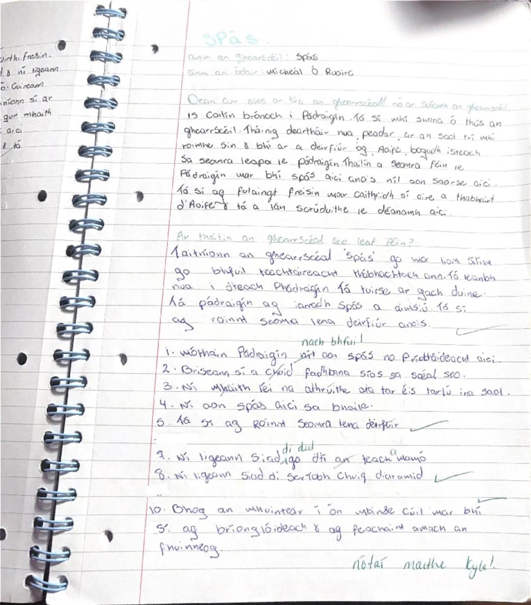 # Spós-le vícheál Ó Ruairc
1. 15 1 Pádraigin ainm an phríomhcharochtair.
2. . 15 iad Acipe & peadar ainmneacha suibini Phádraigin.
3. Tá