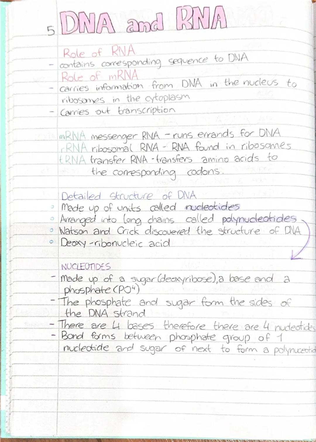 5 DNA and RNA
Heredity
DEFN Heredity is the passing. on of features from parent
to offspring by means of genes. These are the
structures th