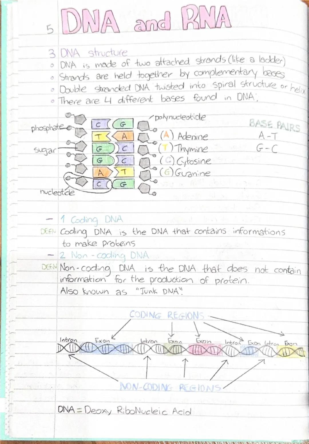 5 DNA and RNA
Heredity
DEFN Heredity is the passing. on of features from parent
to offspring by means of genes. These are the
structures th