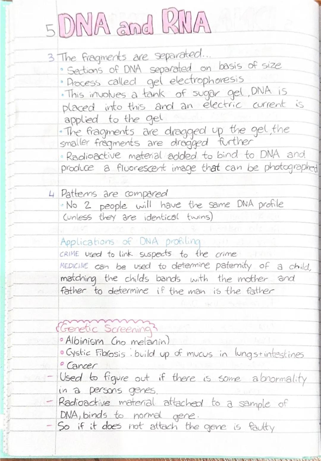 5 DNA and RNA
Heredity
DEFN Heredity is the passing. on of features from parent
to offspring by means of genes. These are the
structures th