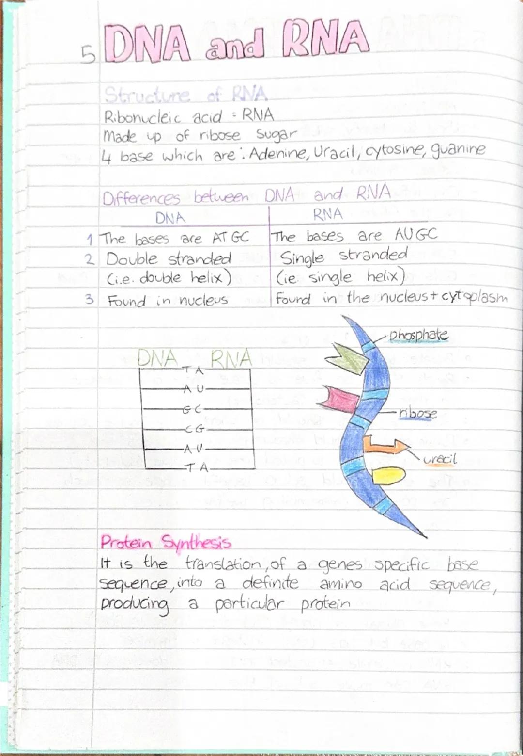 5 DNA and RNA
Heredity
DEFN Heredity is the passing. on of features from parent
to offspring by means of genes. These are the
structures th