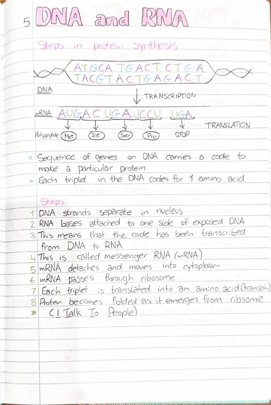 5 DNA and RNA
Heredity
DEFN Heredity is the passing. on of features from parent
to offspring by means of genes. These are the
structures th