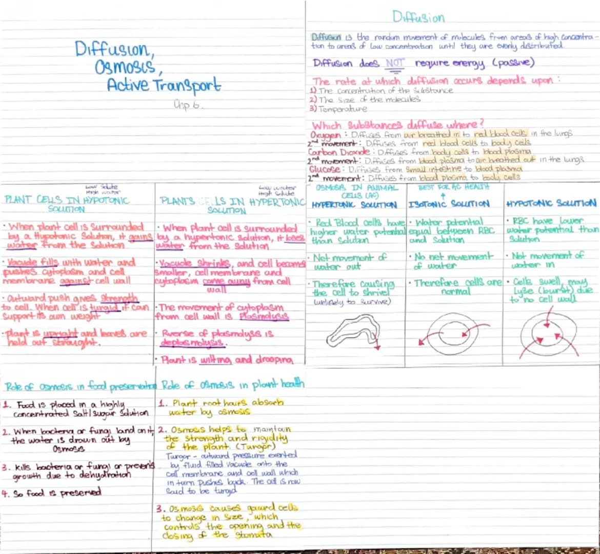 # Diffusion,
Osmosis,
Active Transport
Chp 6.
Low Soute
heyjn wochs
PLANT CELLS IN HYPOTONIC
SOLUTION
p6.
Low wouter
High
PLANTS CELLS IN H