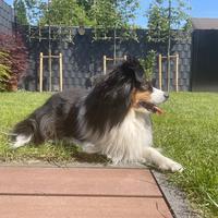 user profile picture