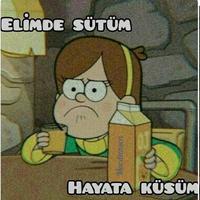 user profile picture